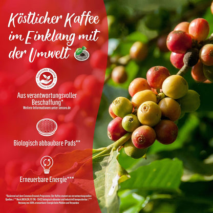 Senseo Pads Cappuccino, Vorratspackung, 5 X 16 Getränke, 80 Kaffeepads
