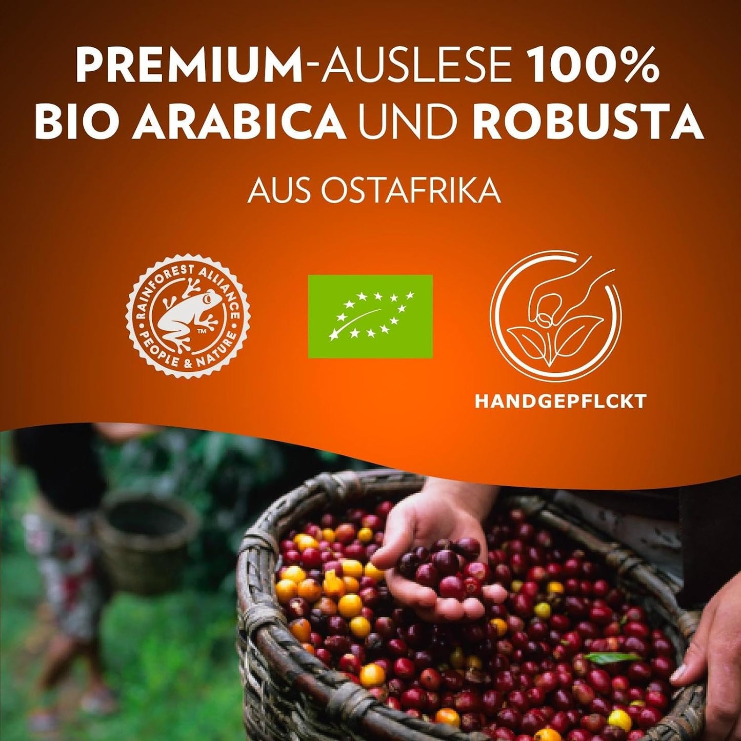Lavazza Tierra for Africa Bio Organic, Espresso Mit Noten Von Karamell Und Schokolade, 10X10 Kapseln, Nespresso Kompatibel