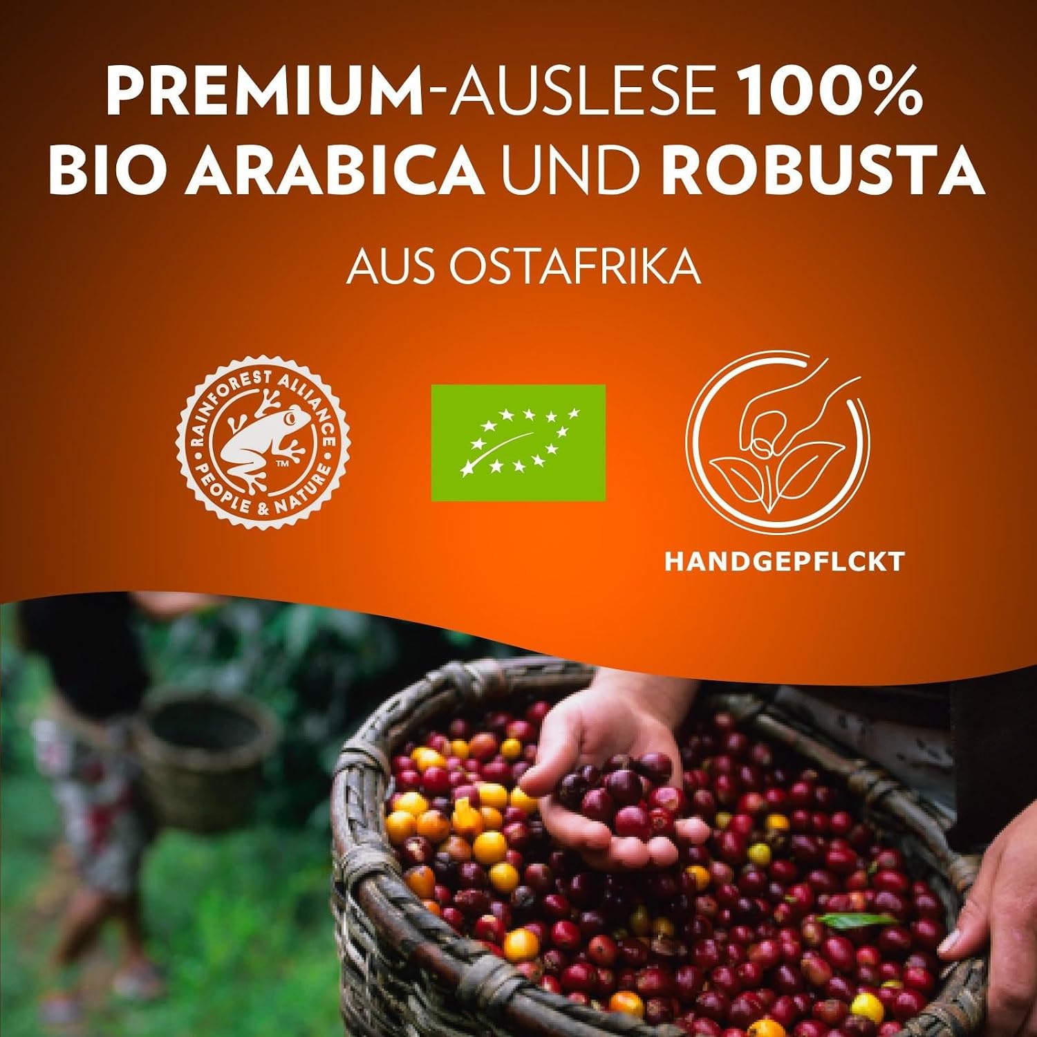 Lavazza Tierra for Africa Bio Organic, Espresso Mit Noten Von Karamell Und Schokolade, 10X10 Kapseln, Nespresso Kompatibel