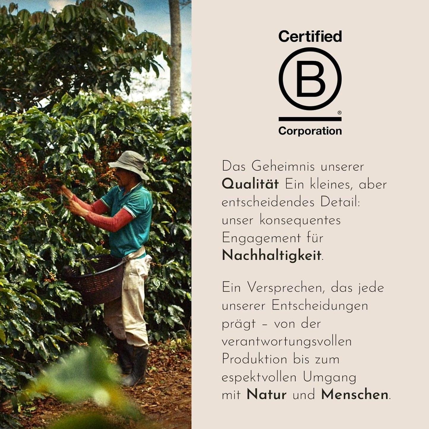 Illy, Gemahlener Filterkaffee CLASSICO, 100% Arabica Mit Noten Von Orangenblüten Und Jasmin, Sanfter Geschmack Und Süßer Nachgeschmack, 1 Dose Mit 250G