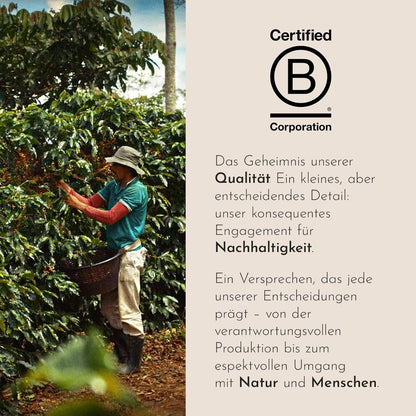 Illy, Gemahlener Filterkaffee CLASSICO, 100% Arabica Mit Noten Von Orangenblüten Und Jasmin, Sanfter Geschmack Und Süßer Nachgeschmack, 1 Dose Mit 250G