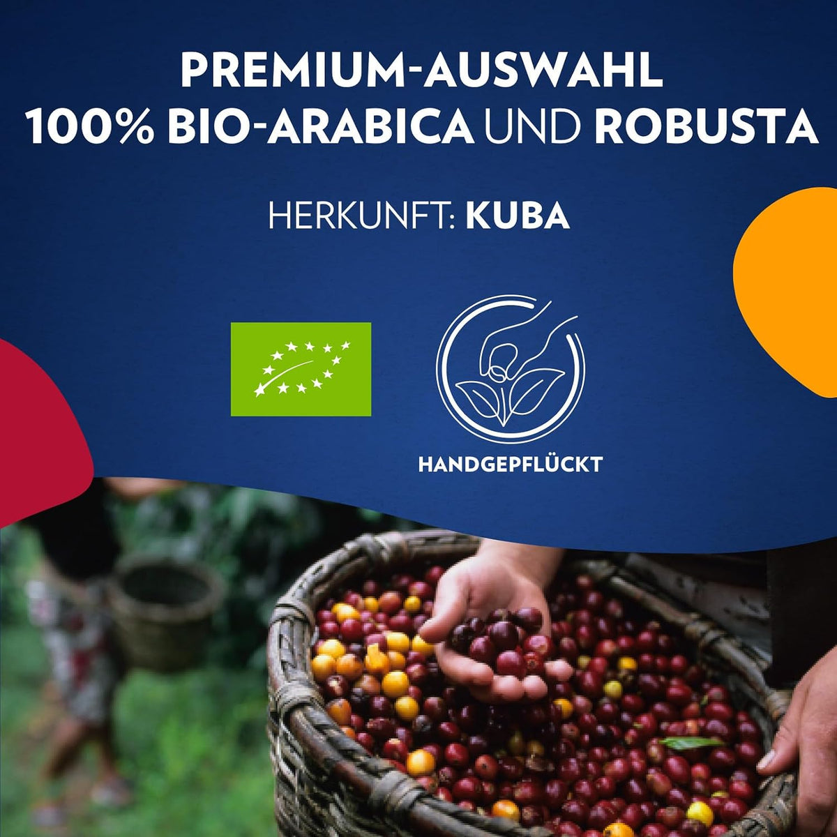 Lavazza Tierra for Cuba Bio Kaffee 180g – Schokolade & Trockenfrüchte, Intensität 7/10