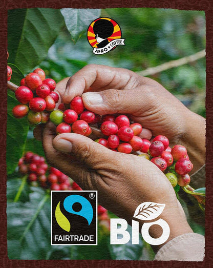 AFRO COFFEE Dark & Elegant 1Kg I 2X 500G Premium Bio Kaffeebohnen Fairtrade I 100% Arabica Bohnen I Bohnenkaffee Aus Äthiopien Mit Noten Von Bitterschokolade I Handgepflückt, Dunkel Geröstet, Säurearm