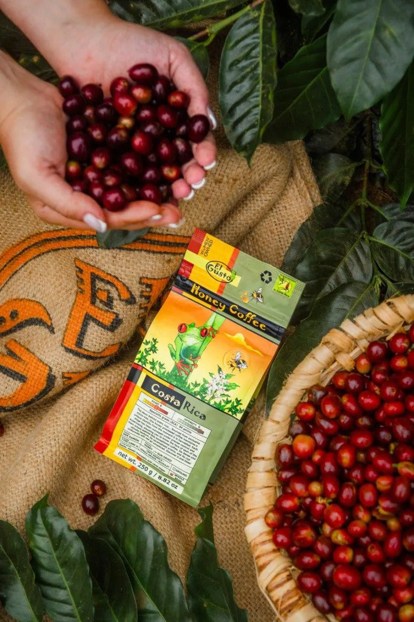 Honey Process Coffee Set 3×250G – Naturally Sweet Costa Rica Specialty Arabica – Whole Bean Single Origin – Coffee Lover Gift