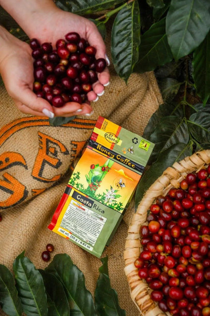 Honey Process Coffee Set 3×250G – Naturally Sweet Costa Rica Specialty Arabica – Whole Bean Single Origin – Coffee Lover Gift