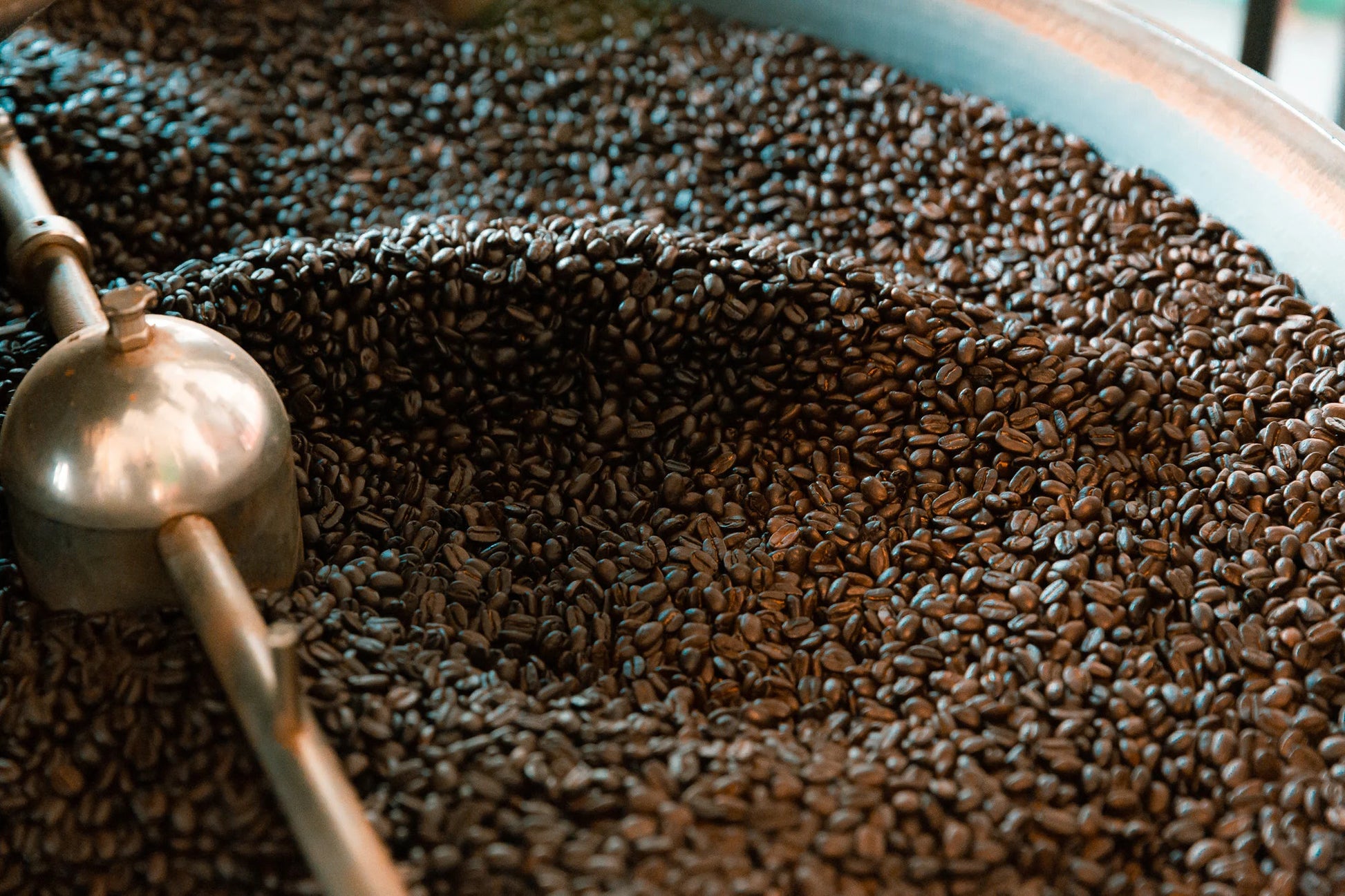 Coffee Gift - Roasted with Love by People with Disabilities