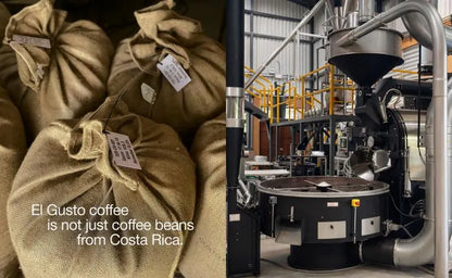 Honey Process Coffee Set 3×250G – Naturally Sweet Costa Rica Specialty Arabica – Whole Bean Single Origin – Coffee Lover Gift